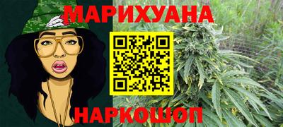 винт Гай