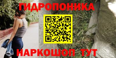 винт Гай