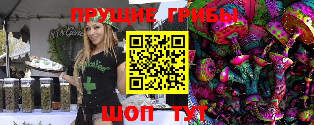 Усть-Джегута  Галлюциногенные грибы GOLDEN TEACHER  Псилоцибиновые грибы Psilocybe  как найти   Вход с VPN 