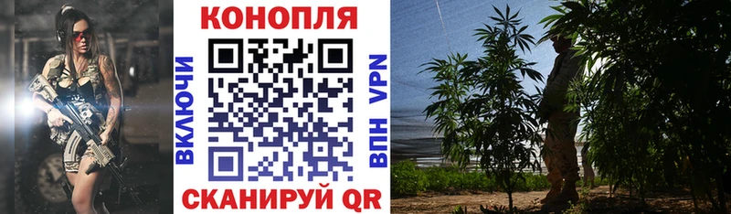 цена наркотик Усть-Джегута Бошки марихуана White Widow